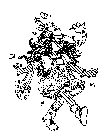 Image Trademark