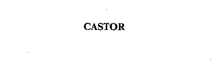 CASTOR