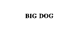 BIG DOG