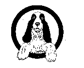 Image Trademark