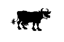 Image Trademark