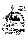 FLOOD YOUR THIRST! NOAH'S CITRUS GIRAFFE CITRUS SODA