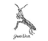 GROSS WEAR