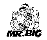 MR.BIG