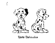 SPOTS DALMATIAN