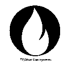 TRYLENE GAS SYSTEM: