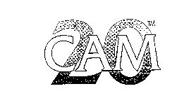 20 CAM