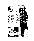 Image Trademark