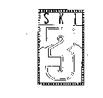 SKI 3