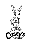 CASEY'S PLAYHOUSE