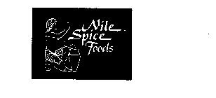 NILE SPICE FOODS