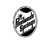 PINELANDS SPRINGS