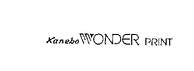 KANEBO WONDER PRINT