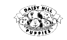 DAISY HILL PUPPIES