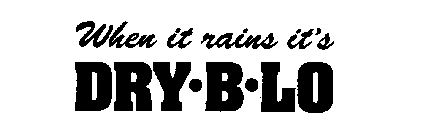 WHEN IT RAINS IT'S DRY-B-LO