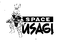 SPACE USAGI