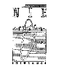 N I E INSURANCE