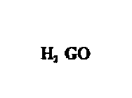 H2 GO