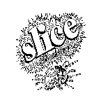 SLICE STRAWBERY