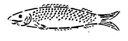 Image Trademark