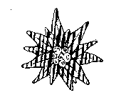 Image for trademark with serial number 74490351