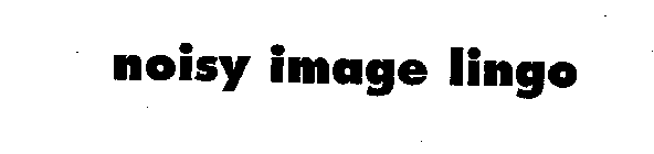 NOISY IMAGE LINGO