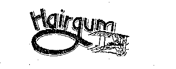 HAIRGUM