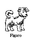 FIGARO