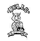 BULLS ONE AND ONLY