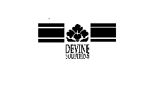 DEVINE SOLUTIONS