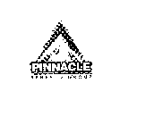 PINNACLE BENEFITS GROUP