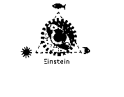 EINSTEIN