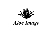 ALOE IMAGE