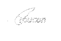 TOUCAN