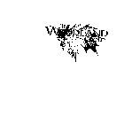 THE WOODLAND GROUP
