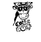 COOL COW