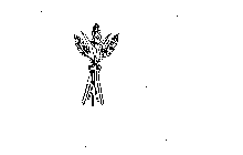 Image Trademark