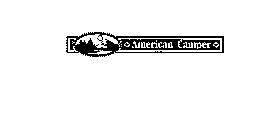 Image Trademark