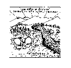 LOS NINOS OF COLORADO COLORADO COLORFUL AQUATIC CREATURES THE MACIASAURUS