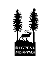 DIGITAL MOUNTAIN