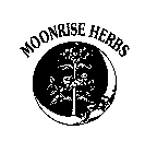 MOONRISE HERBS