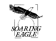 SOARING EAGLE