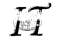 IT