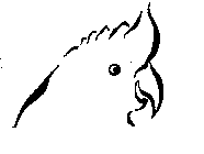Image Trademark