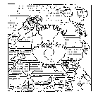UNIVERSAL LINK