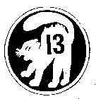 13