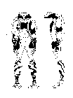 Image Trademark
