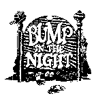 BUMP IN THE NIGHT