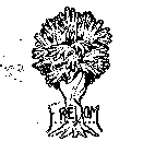 FREDOM