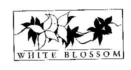 WHITE BLOSSOM